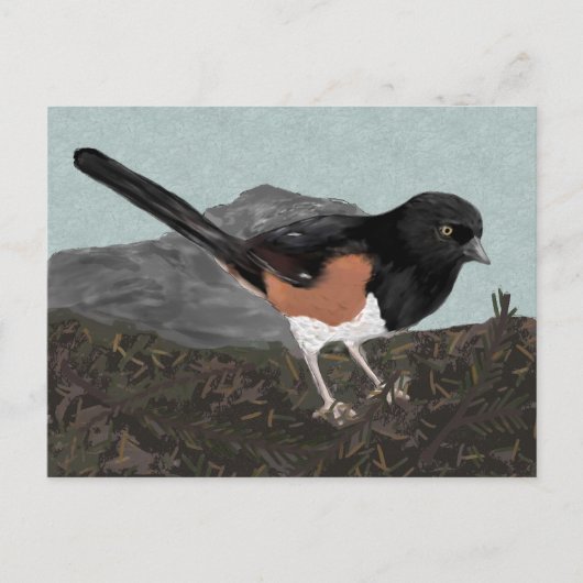 Carte postale Watercolor Eastern Towhee (Devant)