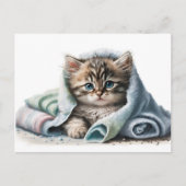 Carte Postale Watercolor Kitten Clinique vétérinaire (Devant)