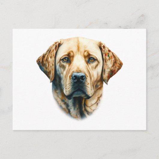 Carte Postale Watercolor Labrador Retriever (Devant)