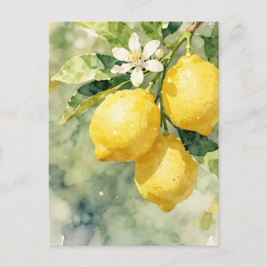 Carte Postale Watercolor Lemon Branch Botanical Summer (Devant)