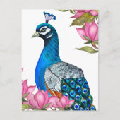 Carte Postale Watercolor peacock (Devant)