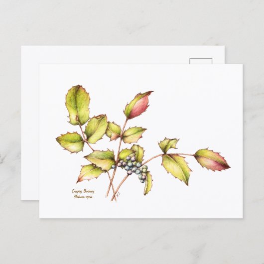 Carte Postale Watercolor wildflower barberry postcard (Devant / Derrière)
