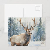 Carte Postale Watercolor Wildlife Elk in Winter  (Devant / Derrière)