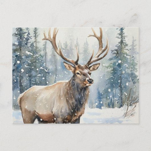 Carte Postale Watercolor Wildlife Elk in Winter  (Devant)