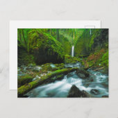 Carte Postale Waterfalls | Grotto Falls, Oregon (Devant / Derrière)