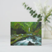 Carte Postale Waterfalls | Grotto Falls, Oregon (Debout devant)