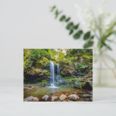 Carte Postale Waterfalls | Smokey Mountain National Park (Debout devant)