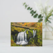 Carte Postale Waterfalls | Triberg Waterfalls, Germany (Debout devant)