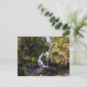 Carte Postale Waterfalls | Triberger Wasserfälle, Germany (Debout devant)