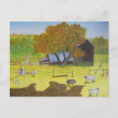 Carte Postale Waterford Barn & Sheep (Devant)
