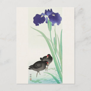 Carte Postale Waterhoots and Iris Peinture par Ohara Koson