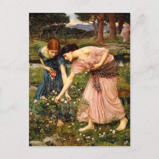 Carte postale Waterhouse Gather Ye Rosebuds (Devant)