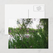 Carte postale Watermead Country Park (Devant / Derrière)