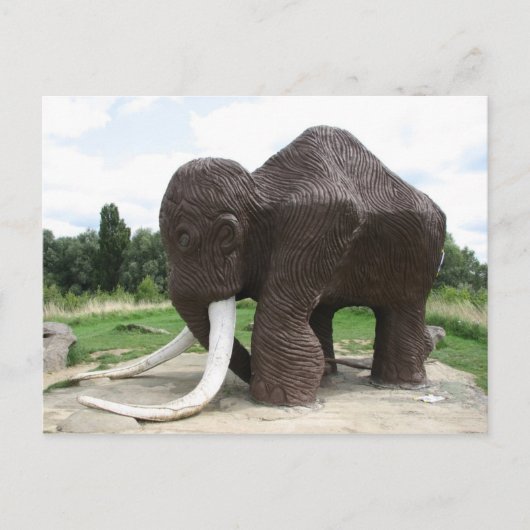 Carte postale Watermead Country Park (Devant)