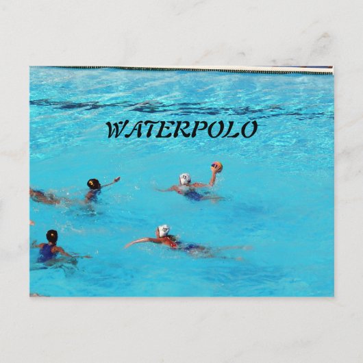 CARTE POSTALE WATERPOLO (Devant)