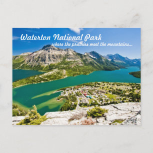 Carte Postale Waterton National Peace Park Postcard