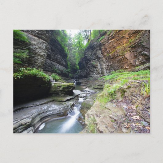 Carte Postale Watkins Glen State Park, New York (Devant)