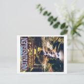 CARTE POSTALE WATKINS GLEN STATE PARK - NEW YORK ÉTATS-UNIS (Debout devant)