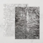 Carte Postale Watson Falls (Devant / Derrière)