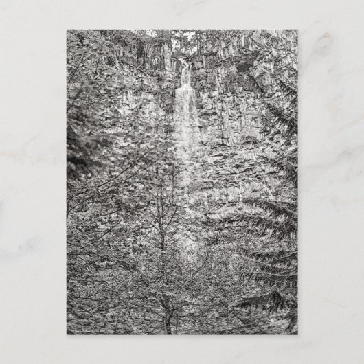 Carte Postale Watson Falls (Devant)