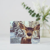 Carte postale Wausau Wisconsin Cute Deer (Debout devant)