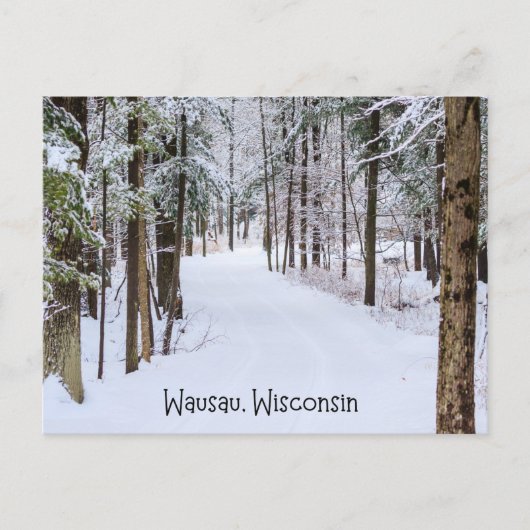 Carte Postale Wausau Wisconsin en hiver (Devant)