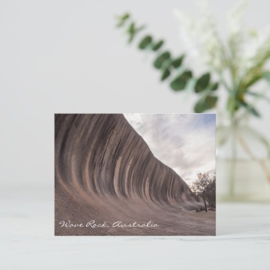 Carte postale Wave Rock Australia (Debout devant)