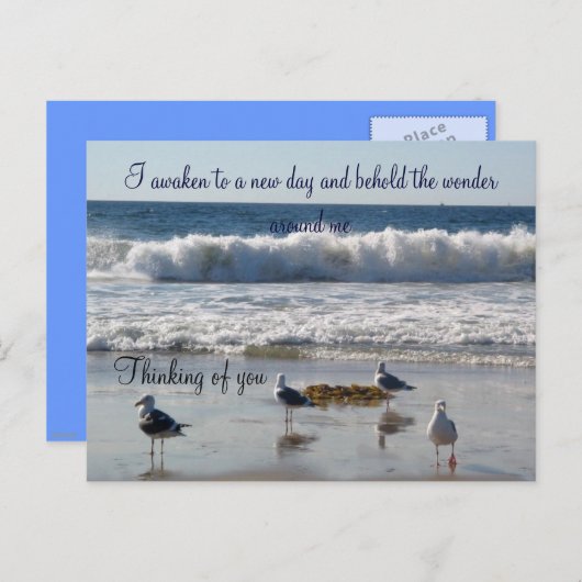 Carte postale Waves & Seagulls_ (Devant / Derrière)