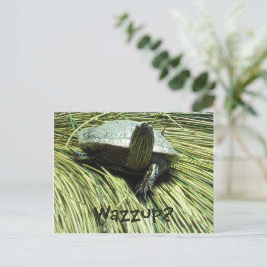 Carte postale Wazzup (Debout devant)