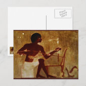 Carte Postale Weaver égyptien (Devant / Derrière)