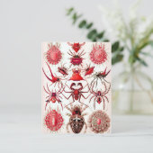 Carte postale Web Crawlers (Debout devant)