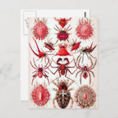 Carte postale Web Crawlers (Devant / Derrière)