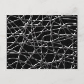 Carte postale Web en bande (Devant)