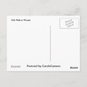Carte postale Web Leucauge Orb (Dos)