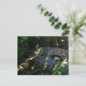 Carte postale Web Leugauge Orb (Debout devant)