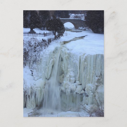 Carte postale, Webster Falls, Hamilton, Ontario, C (Devant)