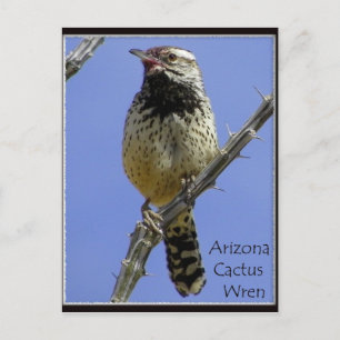 Carte Postale ~Weed it & Reap~