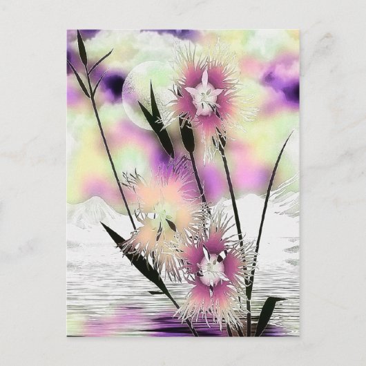 Carte Postale Weeds & Mist Nature Art (Devant)