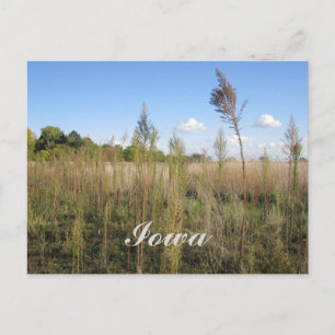 Carte Postale Weeds, Trees et Sky Iowa
