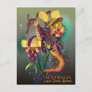 Carte Postale Weedy Seadragon avec orchidées