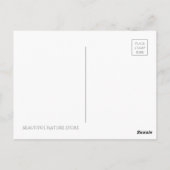 Carte Postale Weeping Cherry(Yaebenishidare) [Carte postale] (Dos)