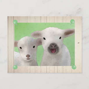 Carte Postale Weidelämmer