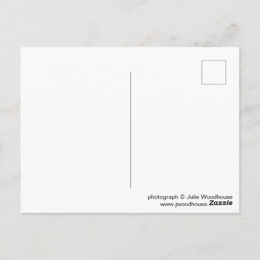 Carte Postale Weimar (Dos)