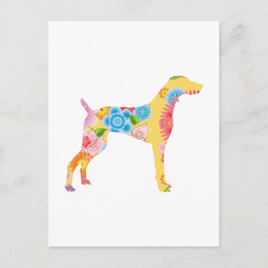 Carte Postale Weimaraner (Devant)