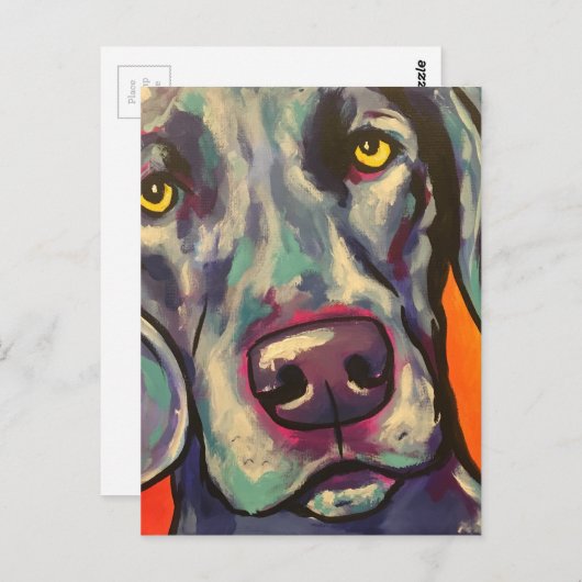 Carte Postale weimaraner (Devant / Derrière)