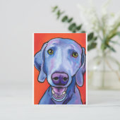 Carte Postale Weimaraner (Debout devant)