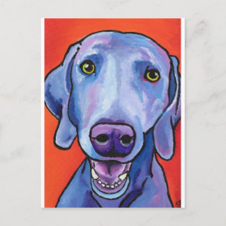 Carte Postale Weimaraner