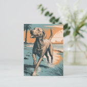 Carte Postale Weimaraner à la plage (Debout devant)