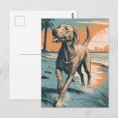 Carte Postale Weimaraner à la plage (Devant / Derrière)