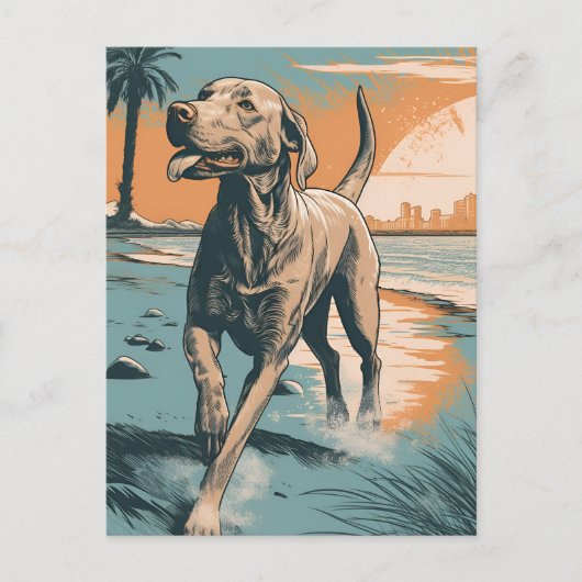 Carte Postale Weimaraner à la plage (Devant)